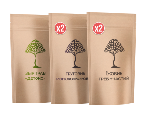 Набір "Школяр"