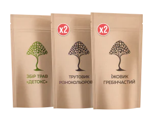 Набір "Школяр"